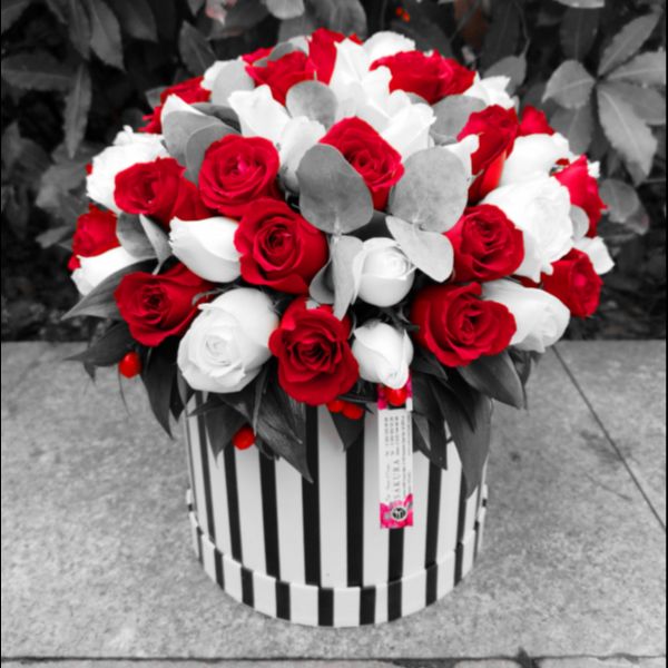 Kutuda Kırmızı Beyaz Güller